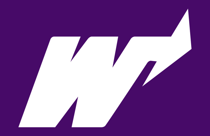 Weber State Wildcats 1973-1996 Helmet Logo diy DTF decal sticker